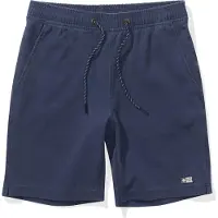 Salty Crew Seadog Volley Kids Boardshorts blå