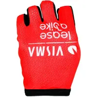 Tvl Replica Team Visma Lease A Bike La Vuelta 2025 Victory Hansker