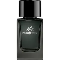 Burberry 089113 100ml Parfymevann