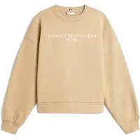 Tommy Hilfiger Ww0ww47831 Collegegenser