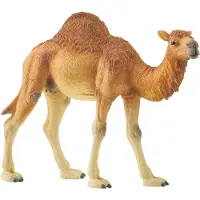 Schleich Dromedar