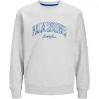 Jack & Jones Detroit Collegegenser