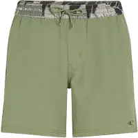 O'Neill Pocket Print 16" Boardshorts grønn