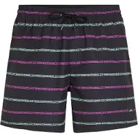 O'Neill Cali First 15'' Boardshorts svart