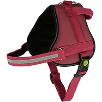 Kerbl Maestro 2.0 Hundesele