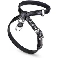 My Family Saint Tropez Kattsele