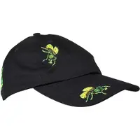 Santa Cruz Flys Cap