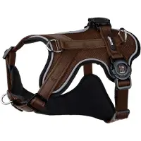 My Family Memopet H Hundesele