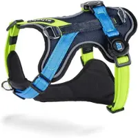 My Family Memopet H Hundesele