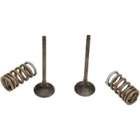 ProX Suzuki Rm-z 250 28.ses3338-1 Springs Inntaksventil
