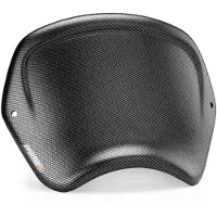 Puig 3591c Frontplate