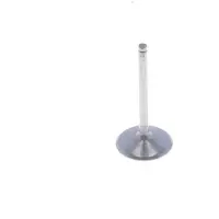 Athena Vi-485209t Inntaksventil