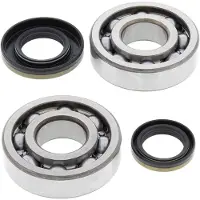 All Balls Suzuki Rm250 2003-2004 Veivaksellagersats