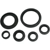 Moose Hard-parts Yamaha Yfm700r Raptor 06-17 Oljetetningssett