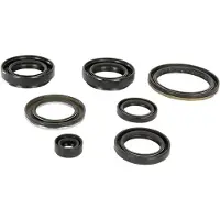 Moose Hard-parts Arctic Cat (textron) 400 2x4 Fis Auto 822239mse Oljetetningssett