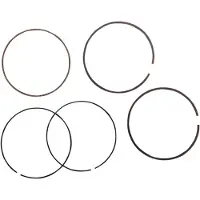 ProX 77.00 Mm Standard 02.3340 Stempelpinner