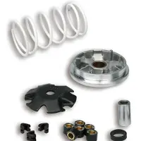MALOSSI 518752 Variatorkit