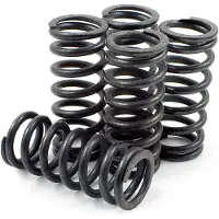 Dp Brakes Hds70-5 Honda Cr125r 2000-2003 Clutchfjærsett 5 Enheter