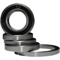 BLACK BEARING Ceramic Lager