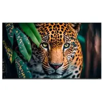 Newline Stv-4324p 43´´ 4k Lcd Skjerm