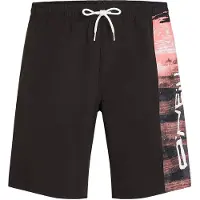 O'Neill Retro 19" Boardshorts mønster