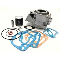 Italkit Rotax 125 D 54 Mm Sylindersats