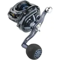 Daiwa Lexa Hd 2019 Baitcasting-snelle