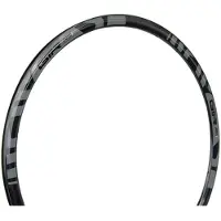 Gtr Rr Disc Felg