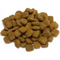 Arquivet Original Cordero Hundemat For Voksne