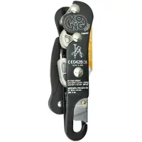 Kong Italy Indy Evo Plus Stigende