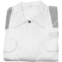 Lalizas Work Dress