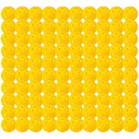 Franklin Indoor X-26 Pickleballballer