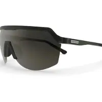 Spektrum Blank Solbriller