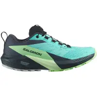 Salomon Sense Ride 5 Gore-tex Trailsko