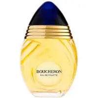 Boucheron Vapo 100ml Eau De Toilette