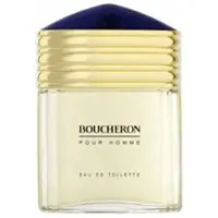 Boucheron Pour Homme 100ml Eau De Toilette