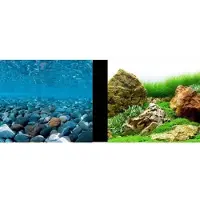 Marina 3d-elv Og Japansk Hage Akvariebakgrunn