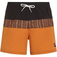 O'Neill Cali Block 15'' Boardshorts oransj