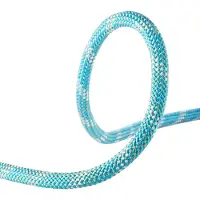 Edelrid Interstatic Protect 11 Mm Tau
