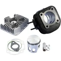 Polini 166.0076/12r Racing Ø47mm Yamaha/minarelli Sylindersats