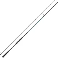 Daiwa Caldia Seabass Classic I Spinnestang