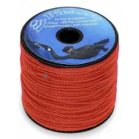 Picasso 100 M Dyneema-linje