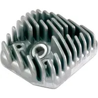 RMS Beauty Minarelli Am6 Euro1 100070072 Sylinderhode
