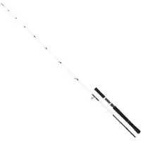 Daiwa Saltist Off Shore Jigging Stang