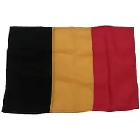 Goldenship Belgias Flagg