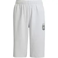 Adidas Originals X Minecraft Shorts