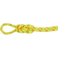 Mammut Alpine Core Protect 9.5 Mm Tau