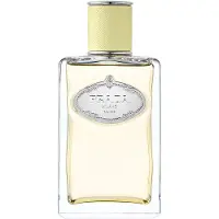 Prada Infusion Gingembre 100ml Eau De Parfum