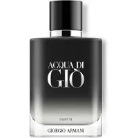 Giorgio Armani Aqua Di Gio 100ml Parfymevann