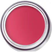 Bobbi Brown Pot Rouge Velvet Matte Guava Punch